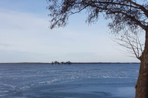 Mehr über den Artikel erfahren Gesundheitskurse und Veranstaltungen 2023 sind online