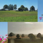 Mindset & Energie – für messbar mehr Power und Wohlbefinden