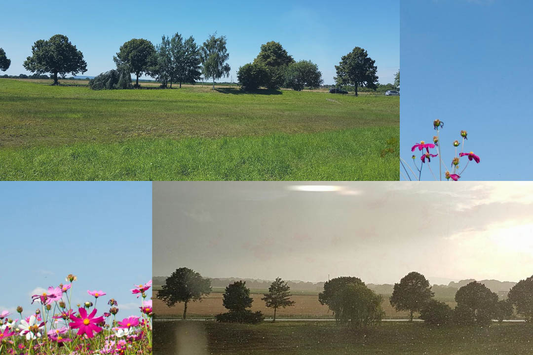 Mehr über den Artikel erfahren Mindset & Energie – für messbar mehr Power und Wohlbefinden